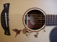 Hanna's Guitar